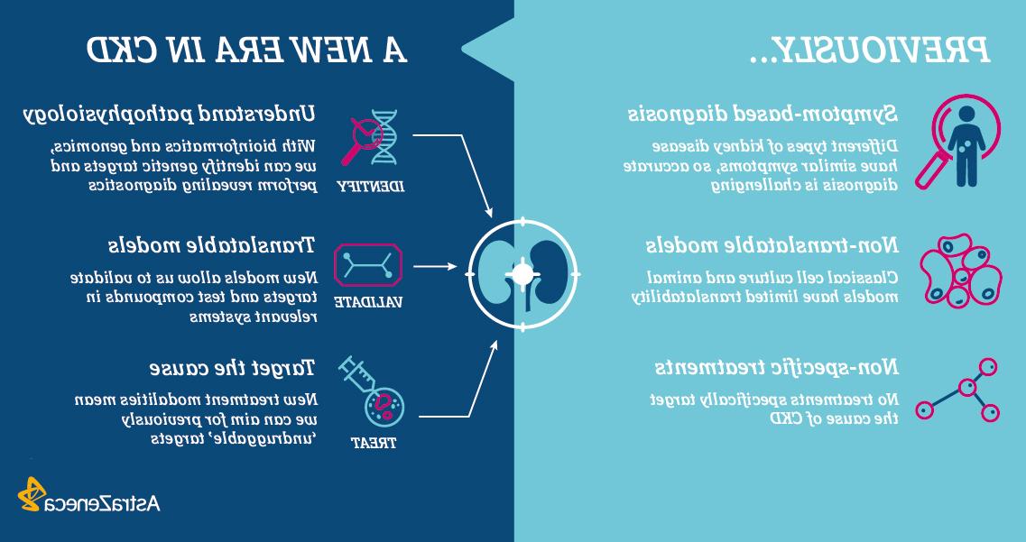 CKD infographic